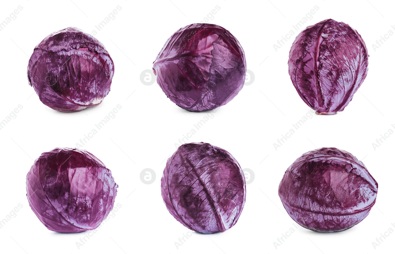 Image of Set of ripe red cabbages isolated on white