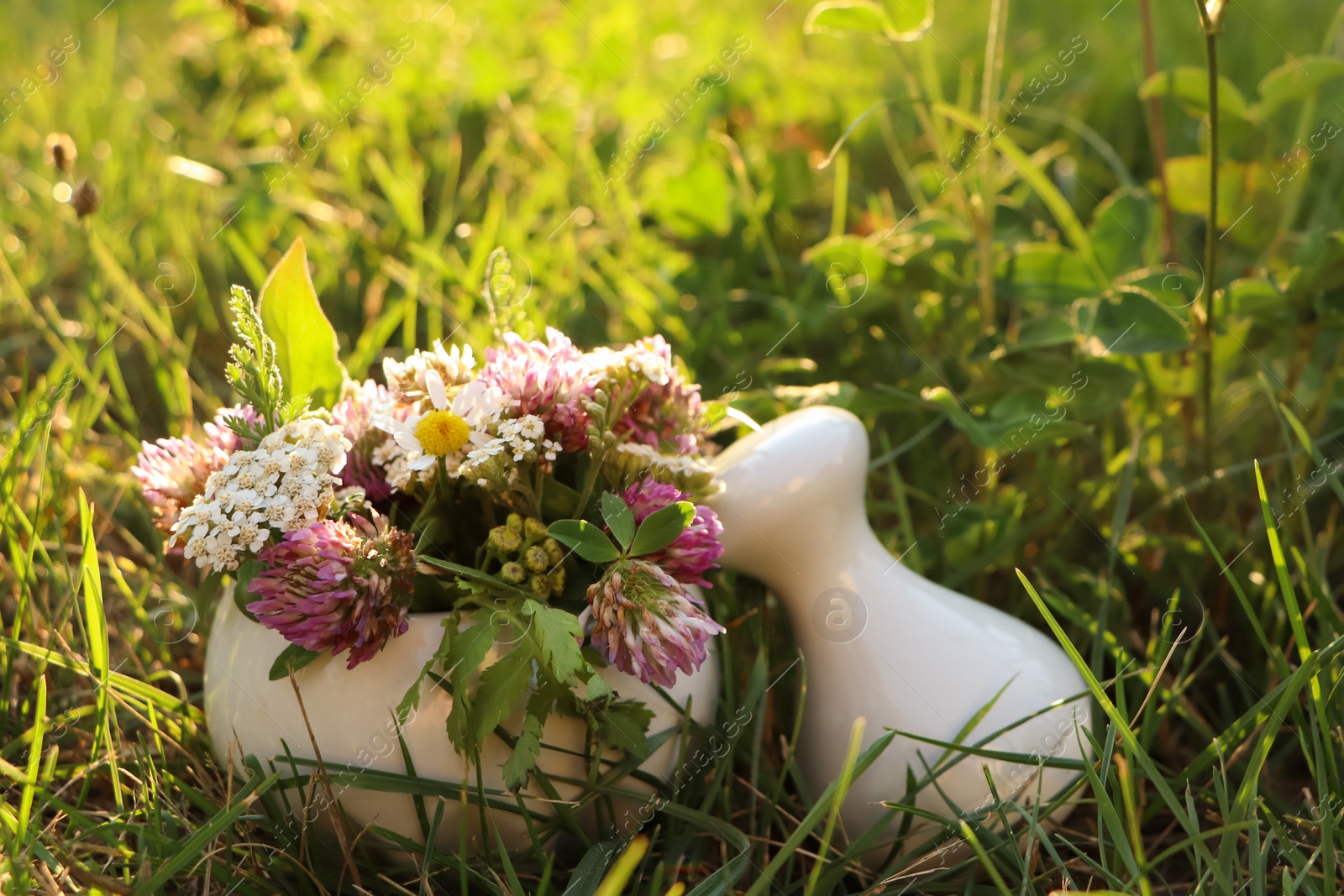 Photo of Ceramic mortar with pestle, different wildflowers and herbs in meadow on sunny day