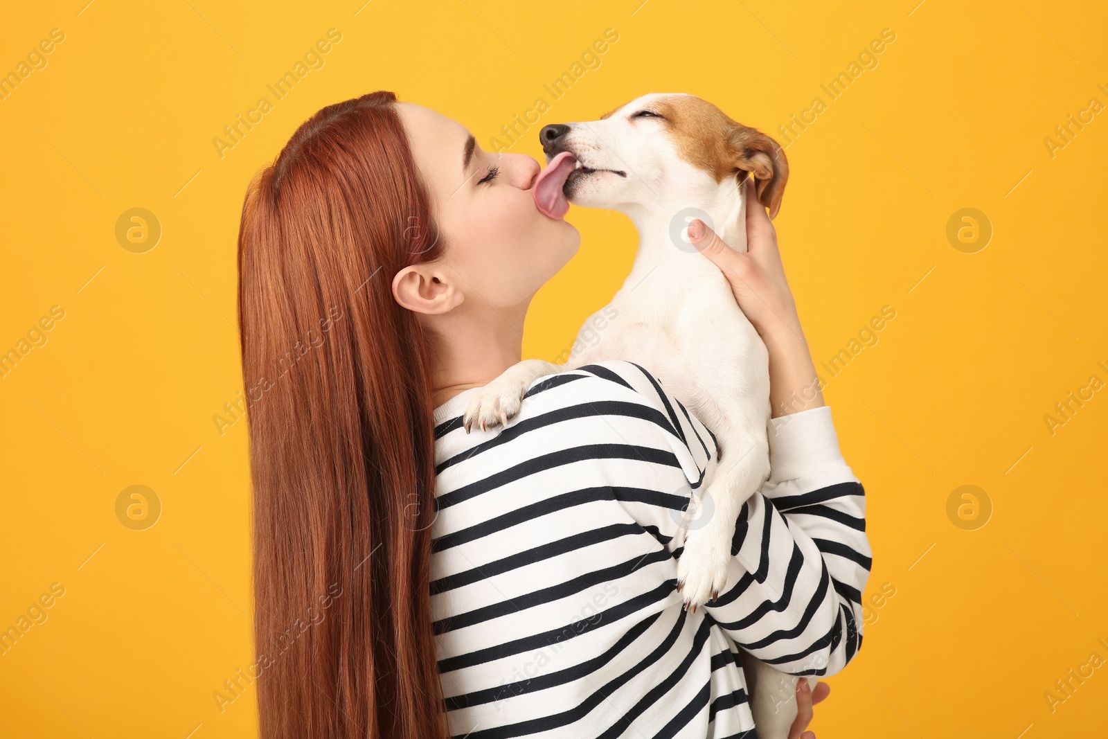 Photo of Woman kissing cute Jack Russell Terrier dog on orange background, back view