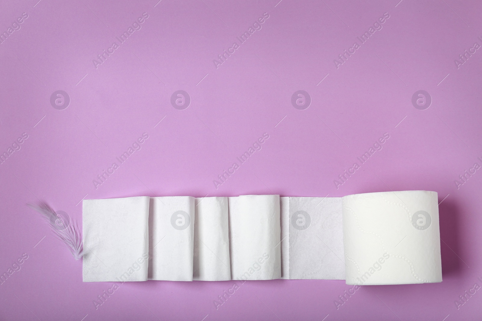 Photo of Roll of toilet paper and feather on color background, top view. Space for text