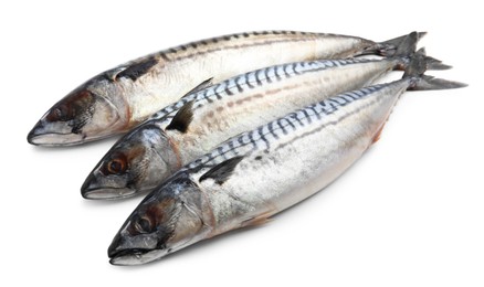Photo of Three tasty raw mackerels isolated on white