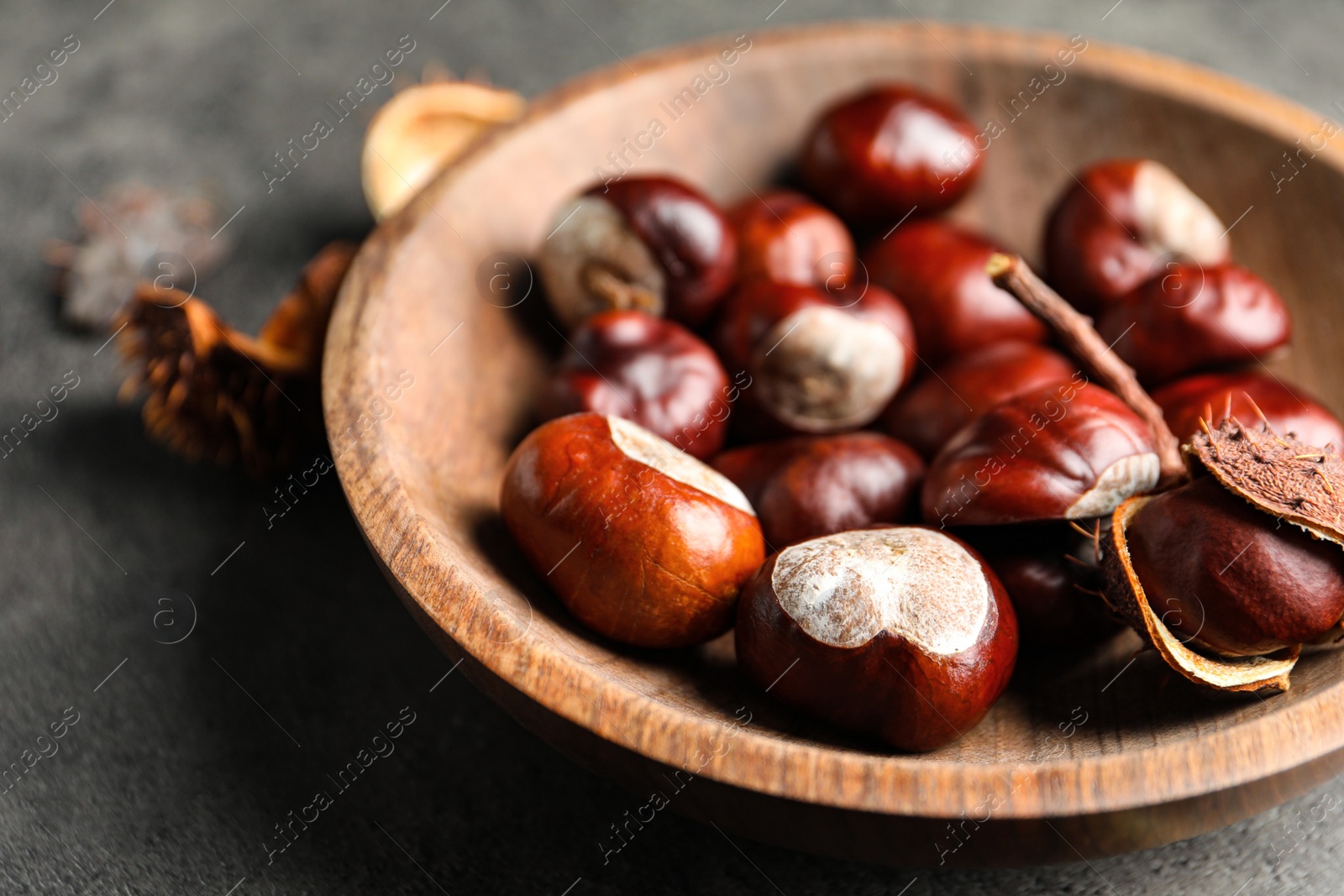 Photo of Horse chestnuts in wooden bowl on grey table, closeup