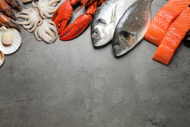Photo of Fresh fish and seafood on grey table, flat lay. Space for text