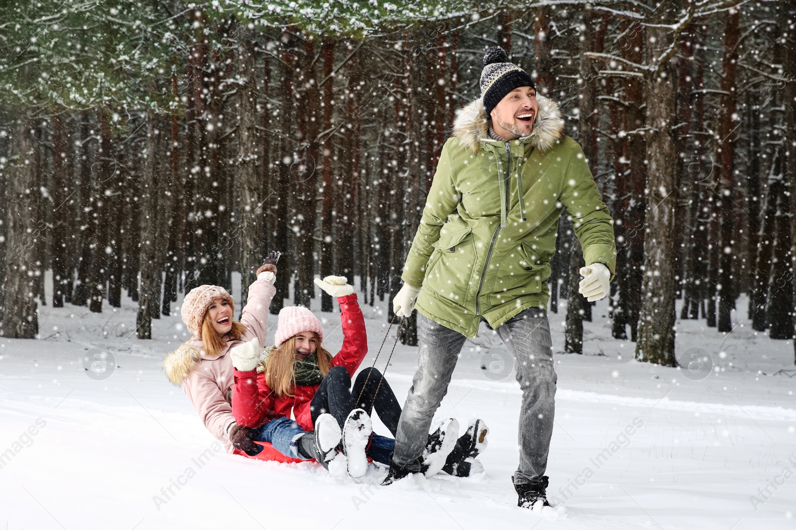 Photo of Happy family sledding in forest on snow day