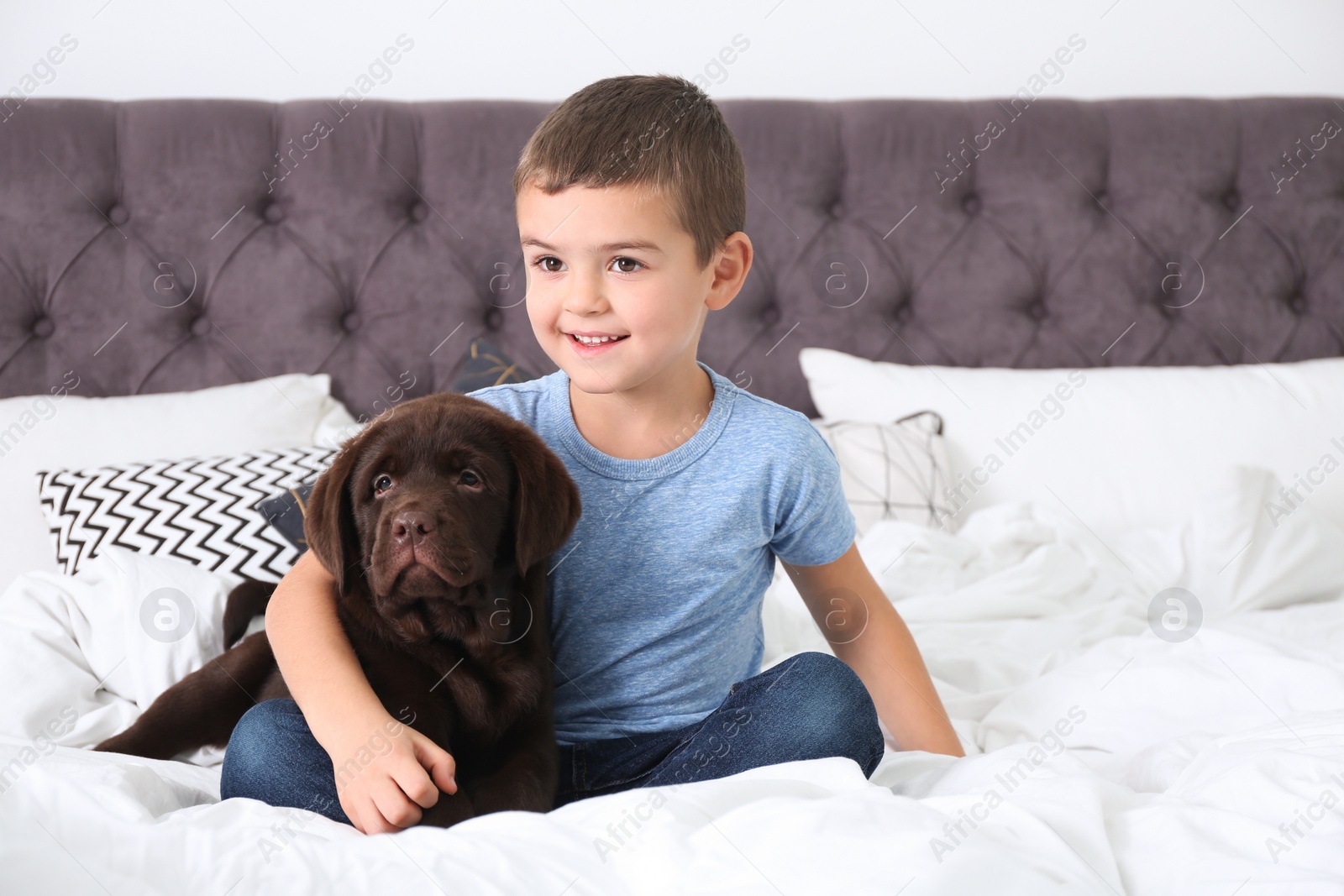 Photo of Funny puppy and little boy on bed at home. Friendly dog