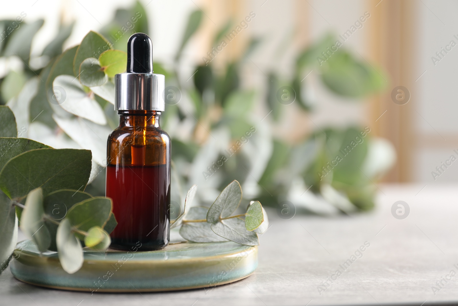 Photo of Aromatherapy. Bottle of essential oil and eucalyptus leaves on grey table, space for text