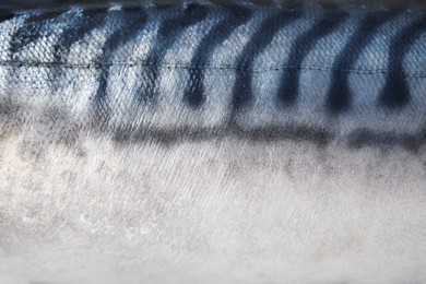 Photo of Texture of raw mackerel as background, closeup