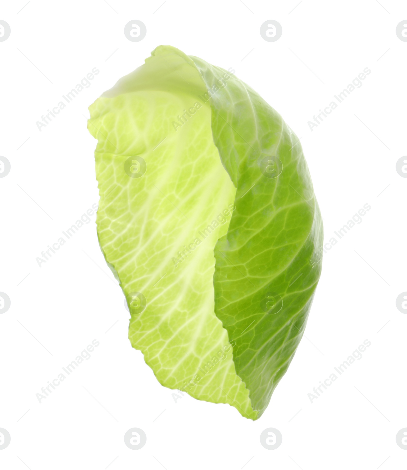 Photo of Leaf of fresh ripe cabbage isolated on white