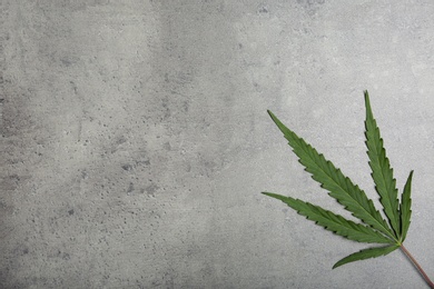Photo of Hemp leaf and space for text on grey background, top view