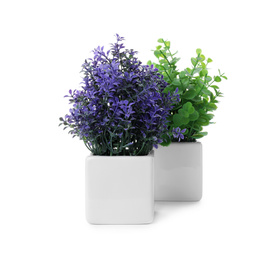 Photo of Beautiful artificial plants in flower pots isolated on white