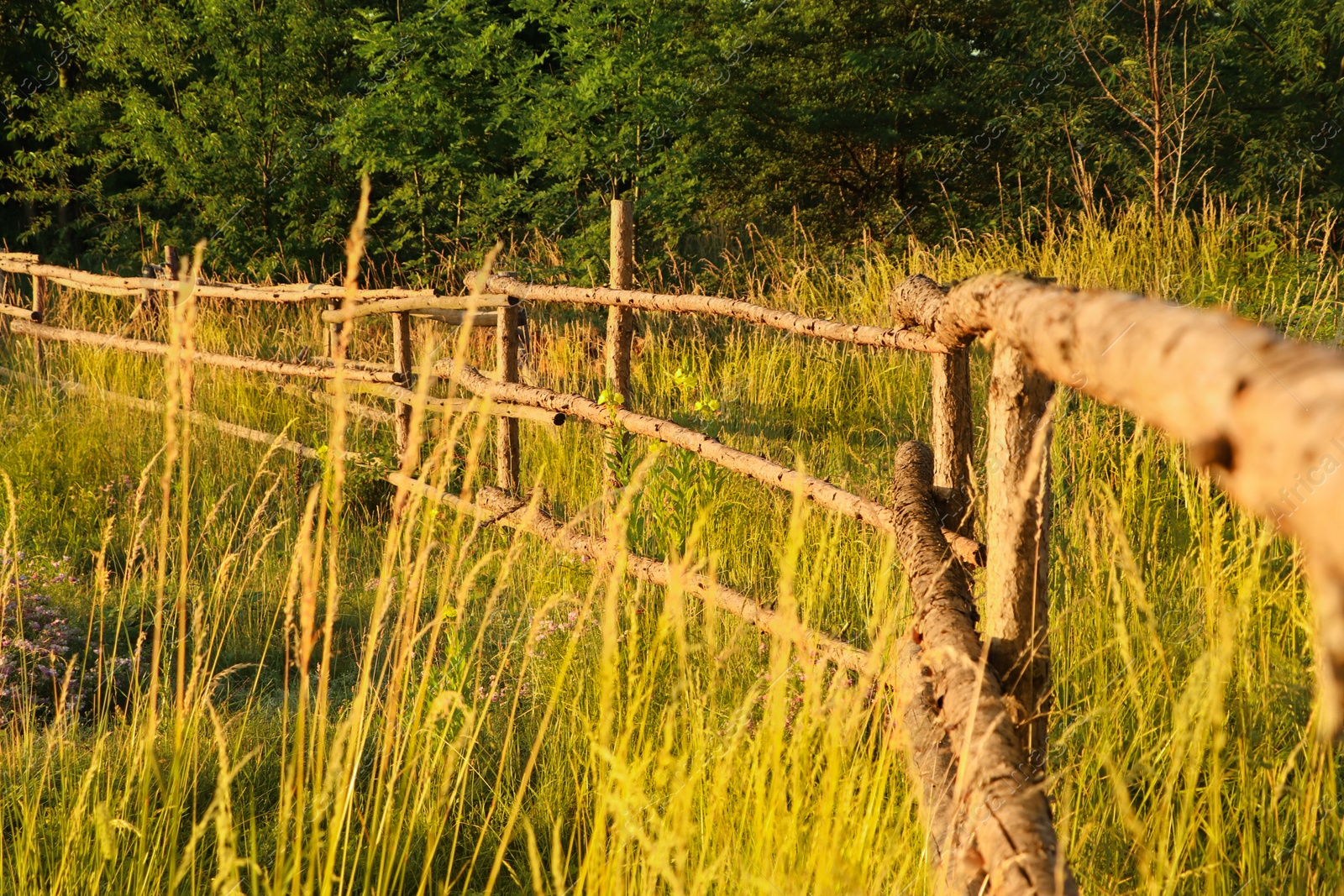 Photo of Picturesque view of countryside with wooden fence in morning