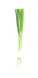 Fresh green spring onion isolated on white