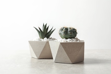 Photo of Beautiful succulent plants in stylish flowerpots on table against white background. Home decor