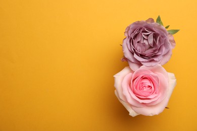 Photo of Number 8 made of beautiful roses  on yellow background, flat lay with space for text. International Women's day