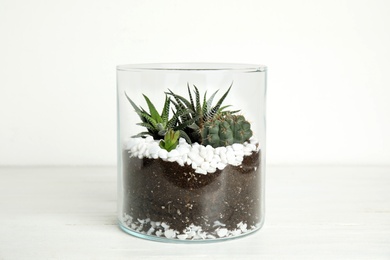 Photo of Glass florarium with different succulents on wooden table against white background