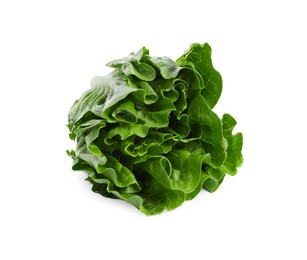 Photo of Fresh green romaine lettuce isolated on white