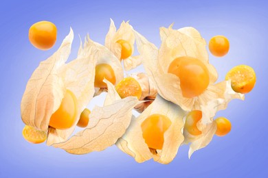 Ripe orange physalis fruits with calyx falling on color gradient background