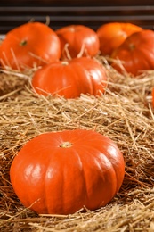 Photo of Ripe orange pumpkins on dry hay in barn