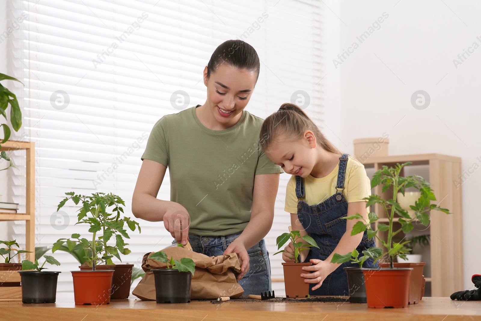 Photo of Mother and daughter planting seedlings into pot together at wooden table in room