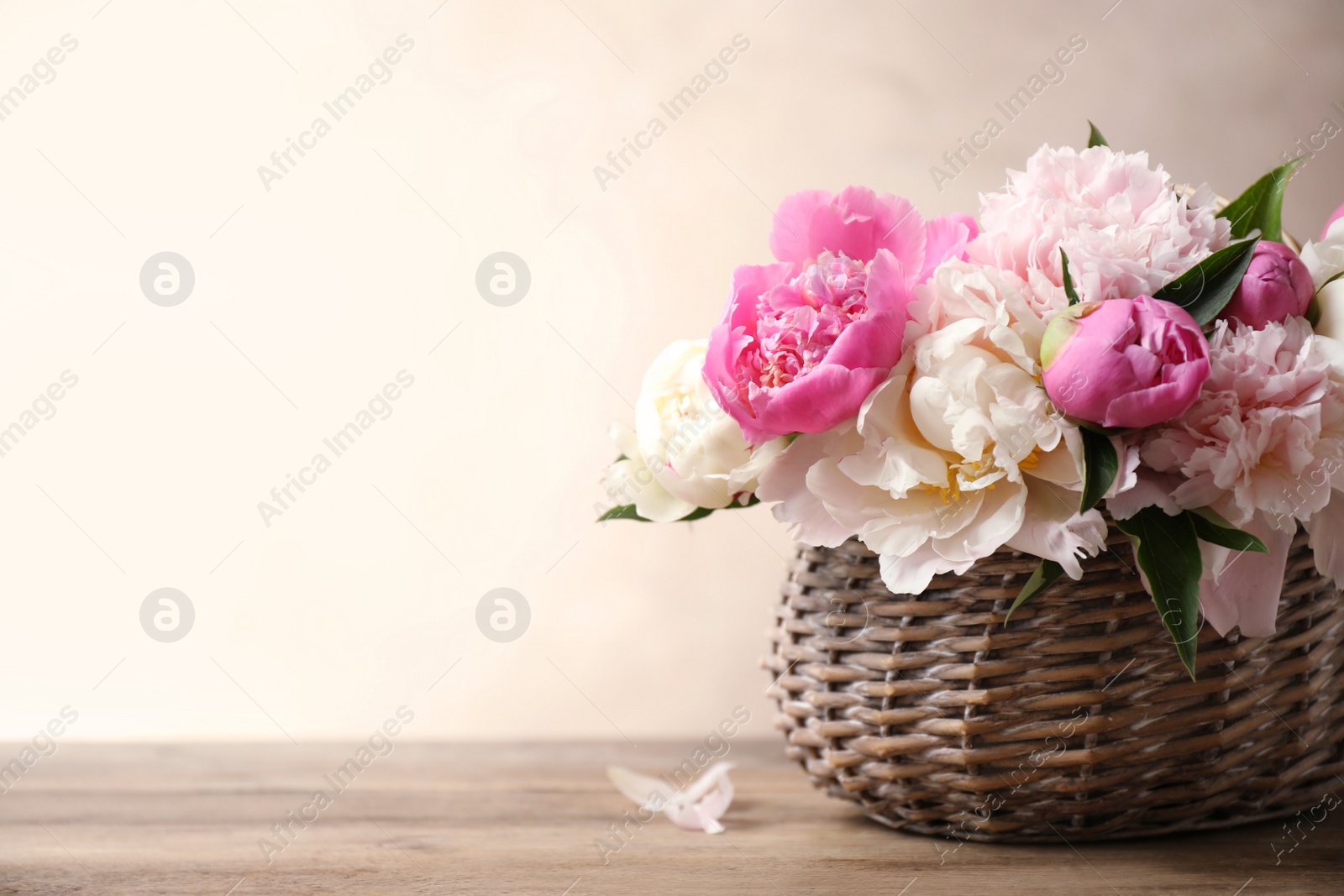 Photo of Beautiful peony bouquet in wicker basket on wooden table. Space for text