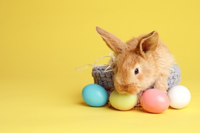 Adorable furry Easter bunny in basket and dyed eggs on color background, space for text