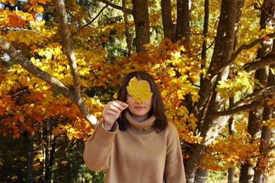 Woman holding autumn leaf against her face in forest