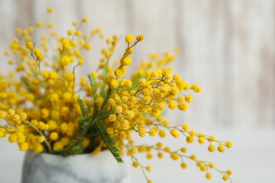 Bouquet of beautiful mimosa flowers on light background, closeup