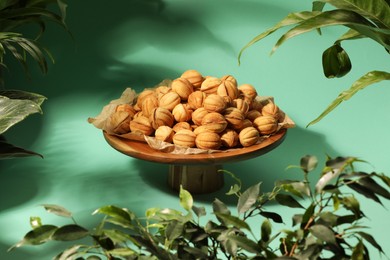 Photo of Delicious walnut shaped cookies filled with caramelized condensed milk and houseplants on green table. Homemade treats for family baked with love