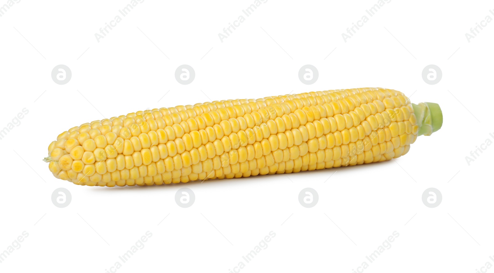 Photo of Tasty fresh corn cob isolated on white