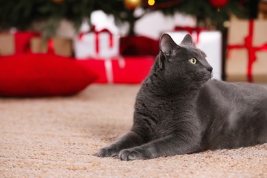 Cute cat in room decorated for Christmas