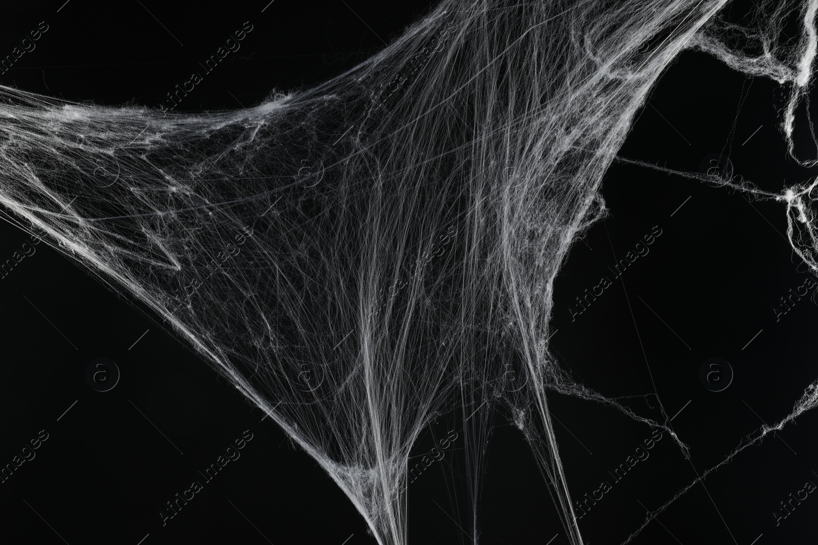 Photo of Creepy white spider web on black background