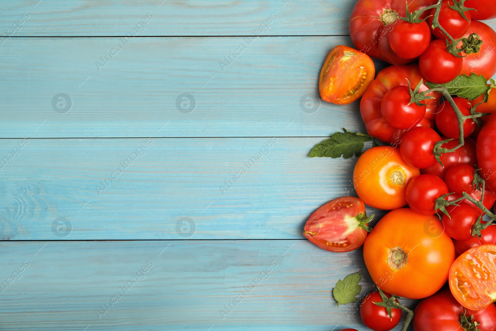 Photo of Many different ripe tomatoes on light blue wooden table, flat lay. Space for text