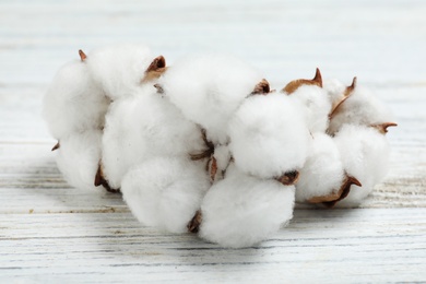 Photo of Fluffy cotton flowers on white wooden background, closeup