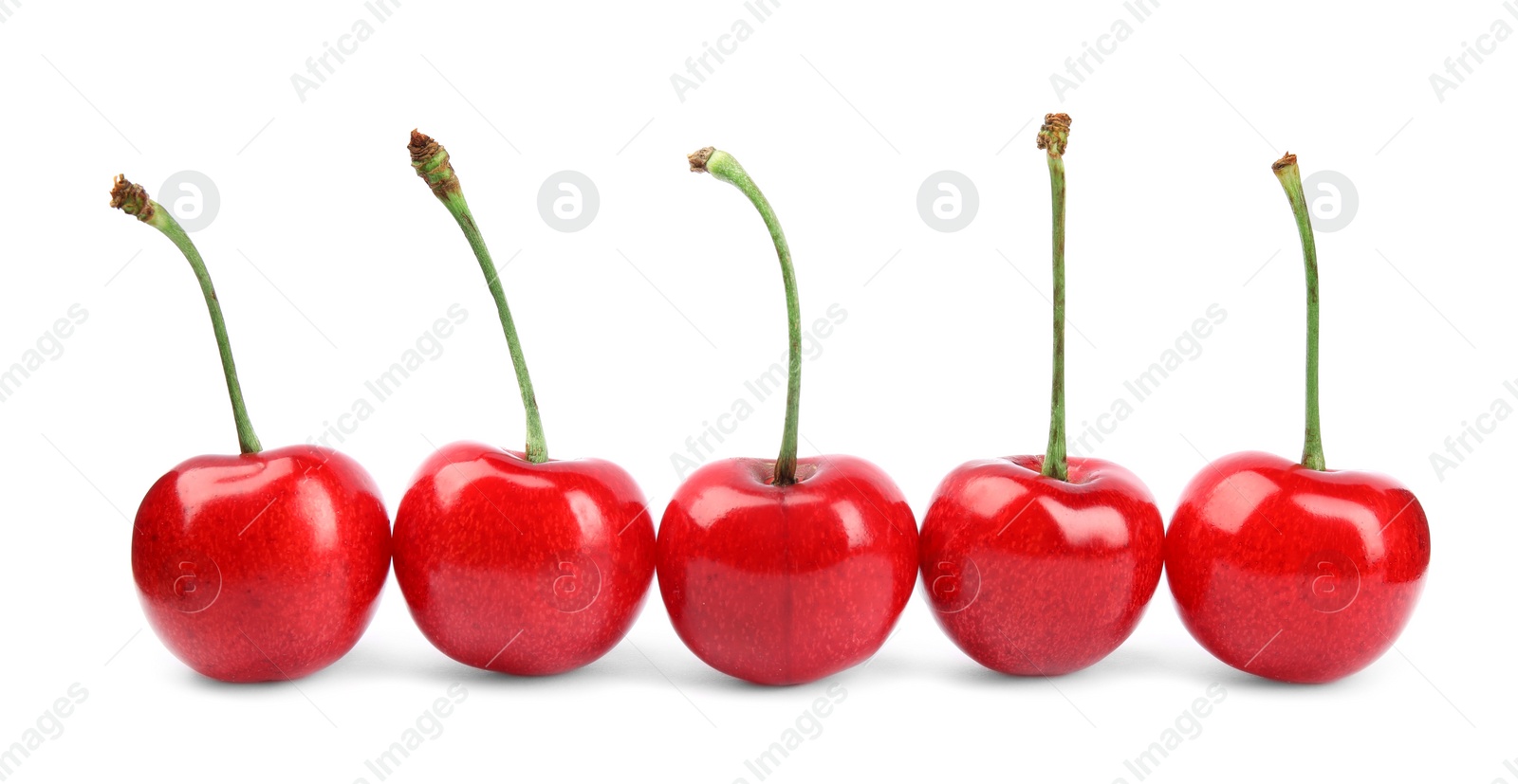 Photo of Row of ripe sweet cherries on white background