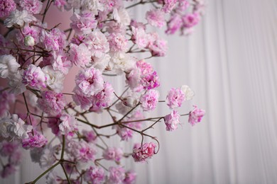 Many beautiful dyed gypsophila flowers on white background, closeup. Space for text