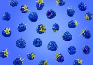 Image of Many fresh blue raspberries falling on blue background