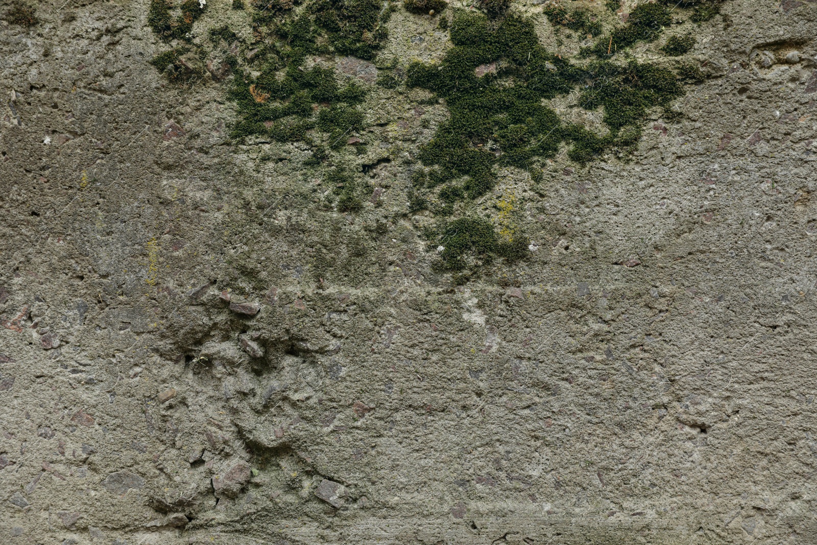 Photo of Stone wall with green moss as background, closeup