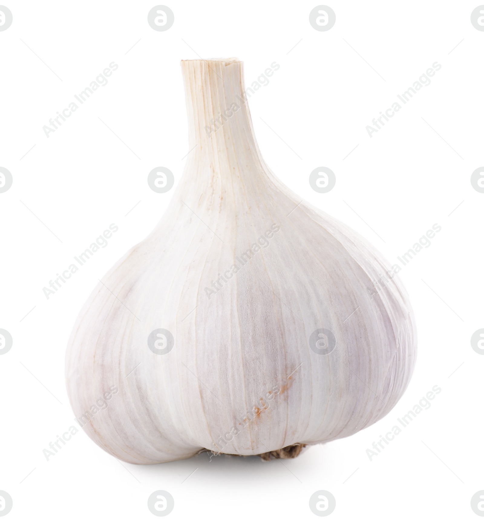 Photo of Head of fresh garlic isolated on white