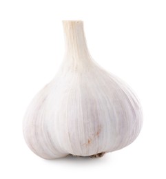 Photo of Head of fresh garlic isolated on white