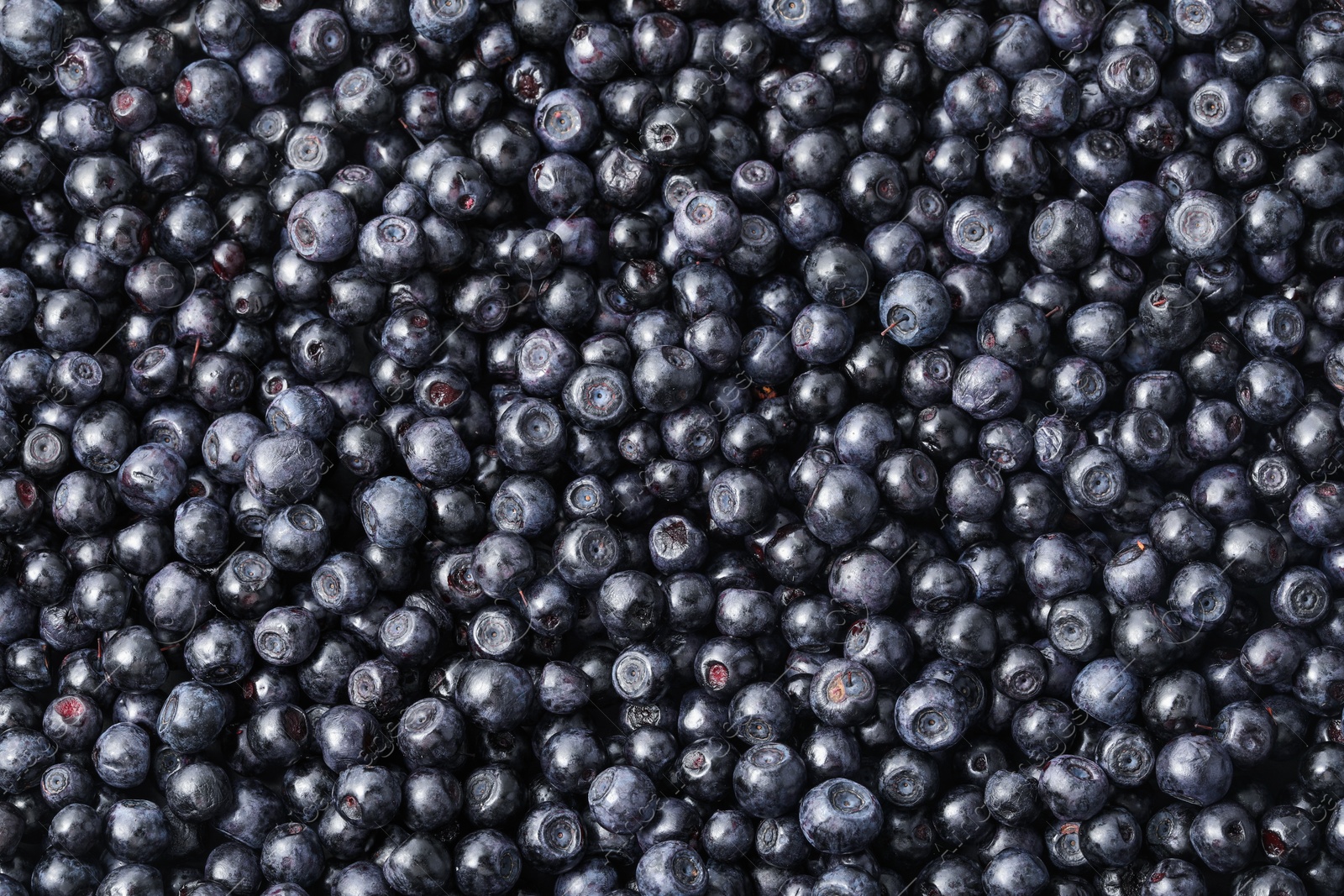 Photo of Many delicious ripe bilberries as background, top view