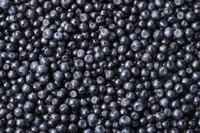 Many delicious ripe bilberries as background, top view