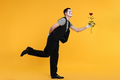 Photo of Funny mime artist with red rose posing on orange background