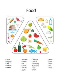 Illustration of Illustrations and food list on white background. Nutritionist's recommendations