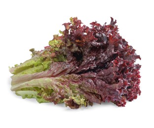 Photo of Leaves of fresh red coral lettuce isolated on white