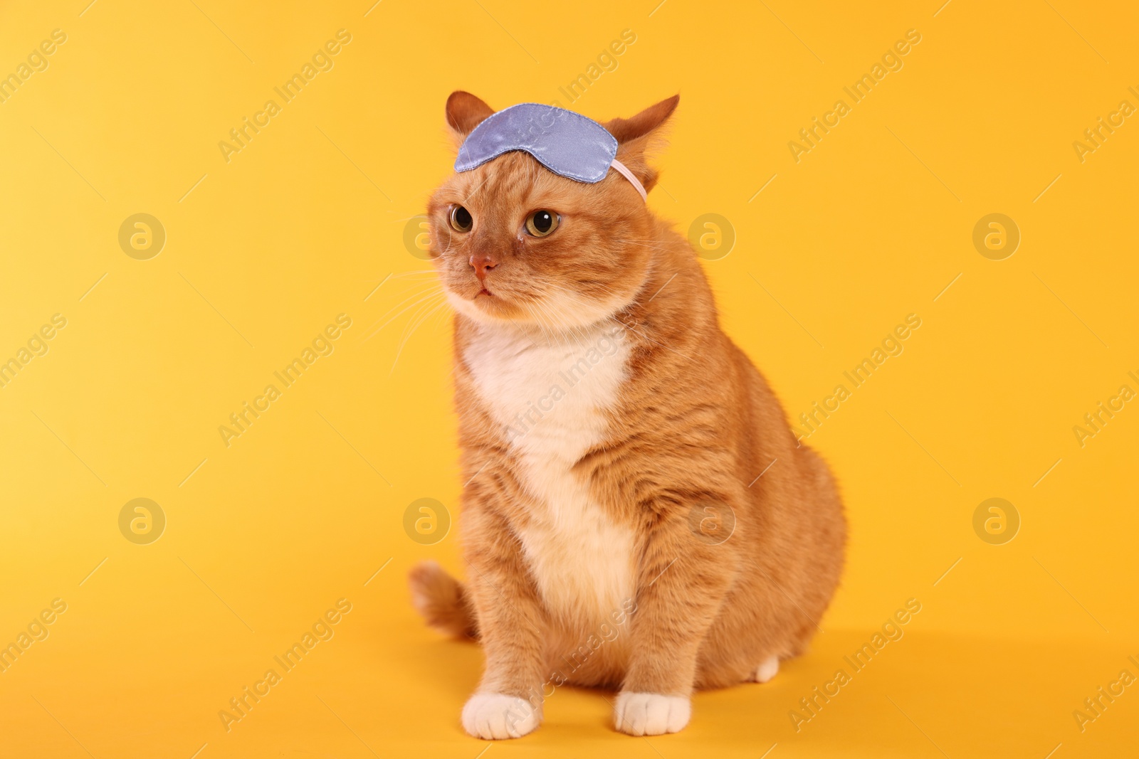 Photo of Cute ginger cat with sleep mask on orange background