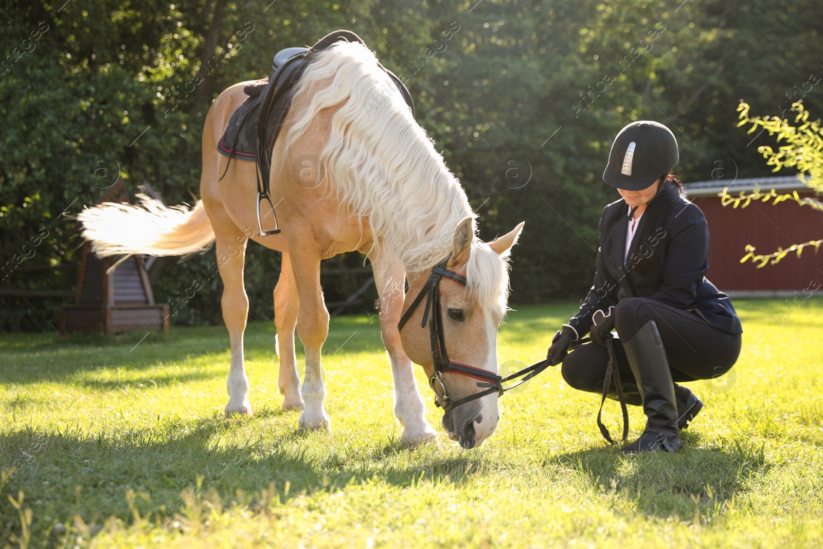 Photo of Young woman in horse riding suit and her beautiful pet outdoors on sunny day