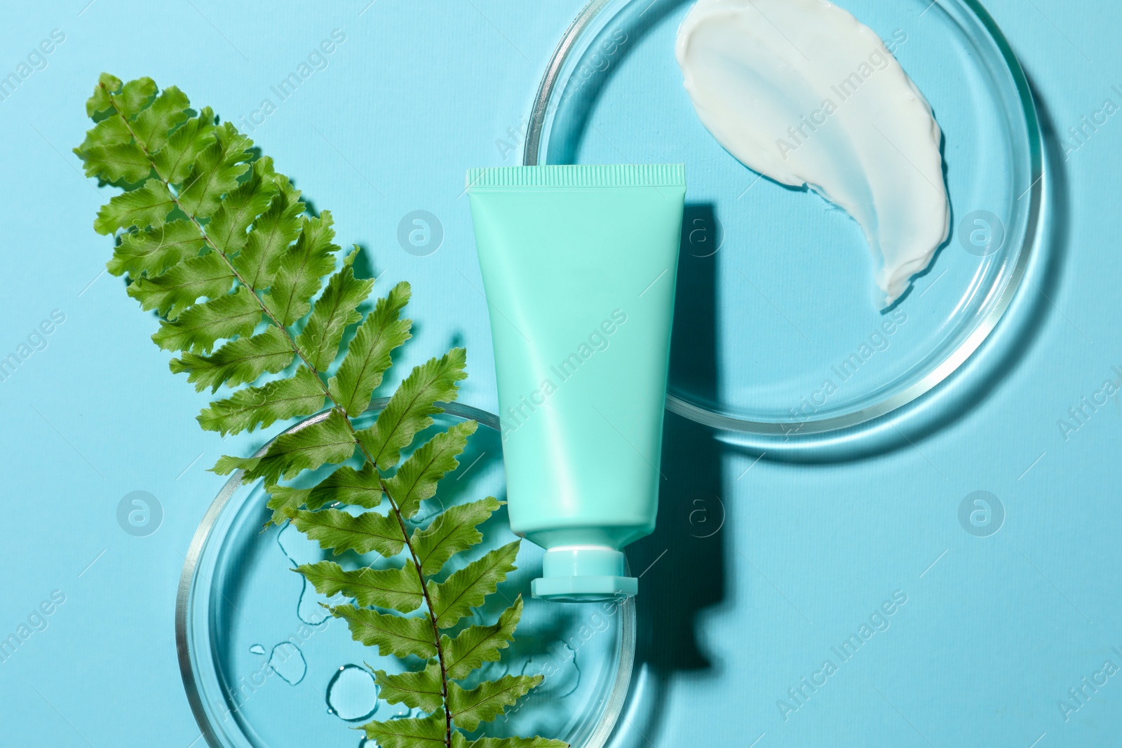 Photo of Flat lay composition with Petri dishes on light blue background