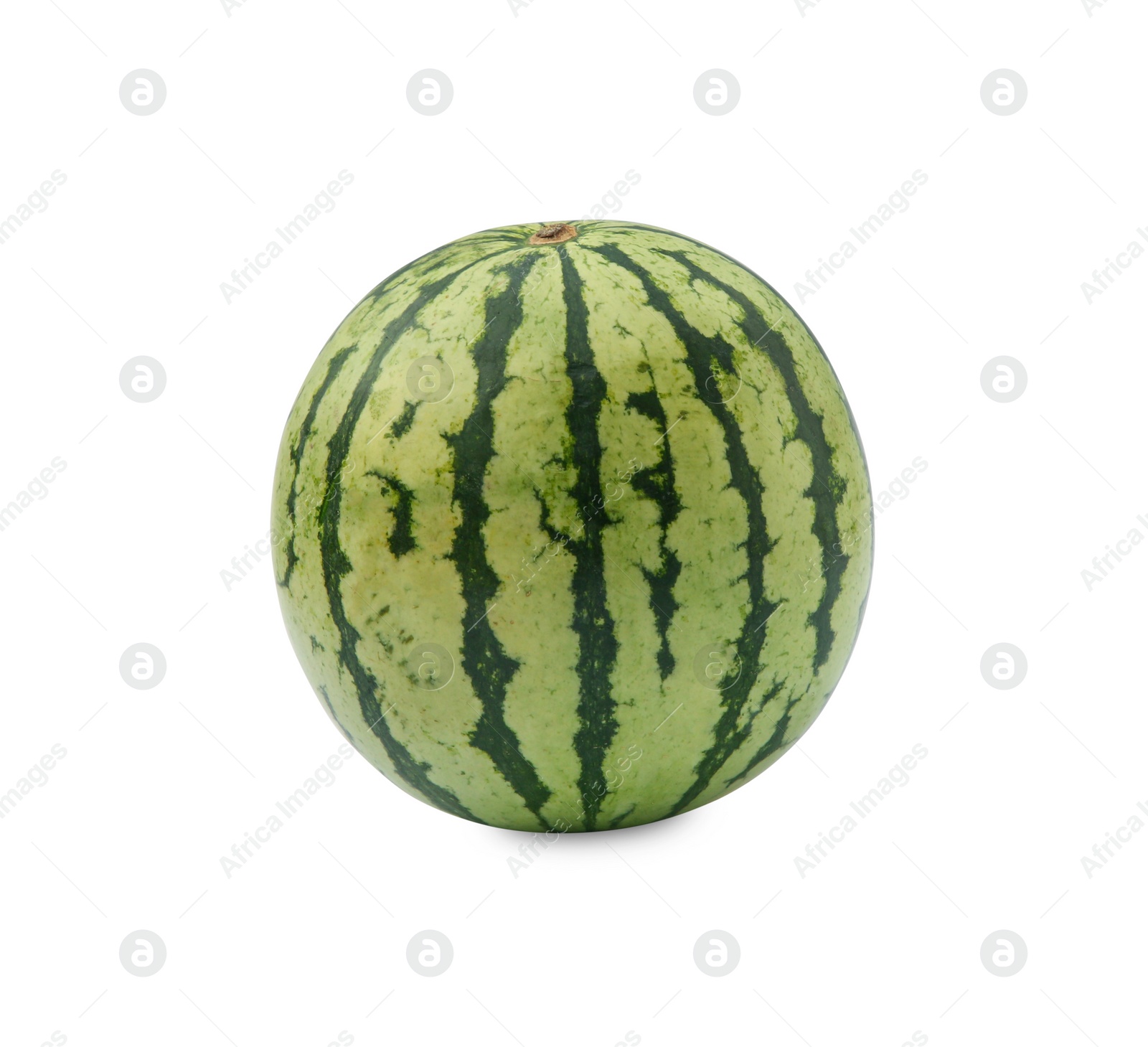 Photo of One whole ripe watermelon isolated on white