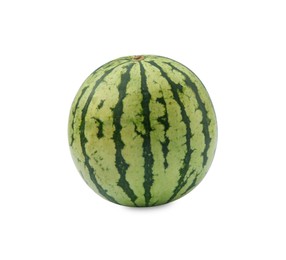 Photo of One whole ripe watermelon isolated on white