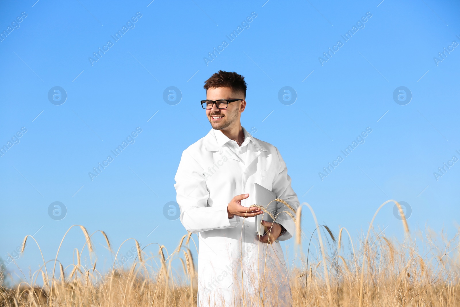 Photo of Agronomist with laptop in wheat field. Cereal grain crop